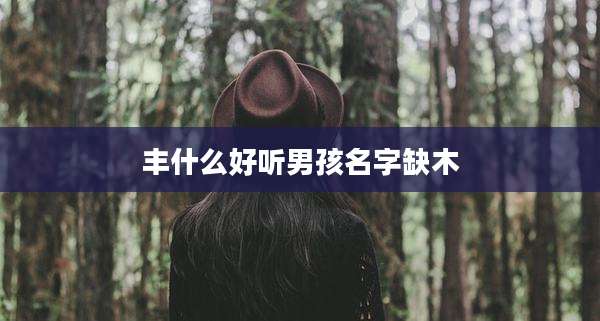 丰什么好听男孩名字缺木