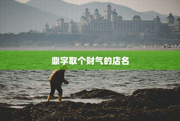 鼎字取个财气的店名
