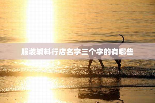 服装辅料行店名字三个字的有哪些