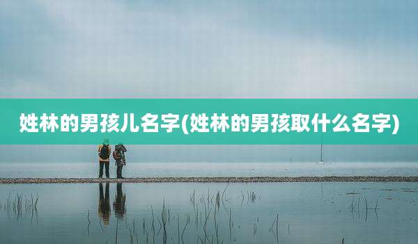 姓林的男孩儿名字(姓林的男孩取什么名字)