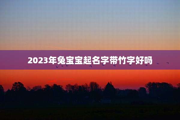 2023年兔宝宝起名字带竹字好吗