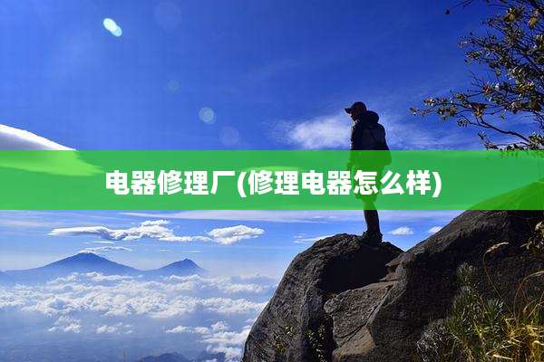 电器修理厂(修理电器怎么样)
