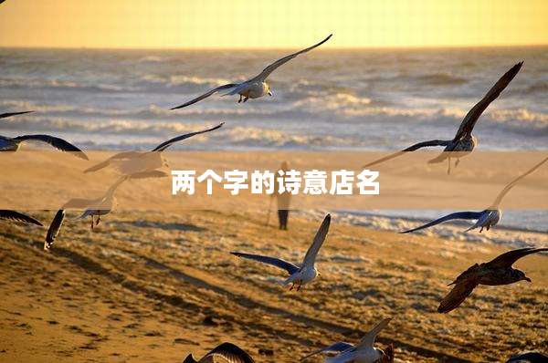 两个字的诗意店名