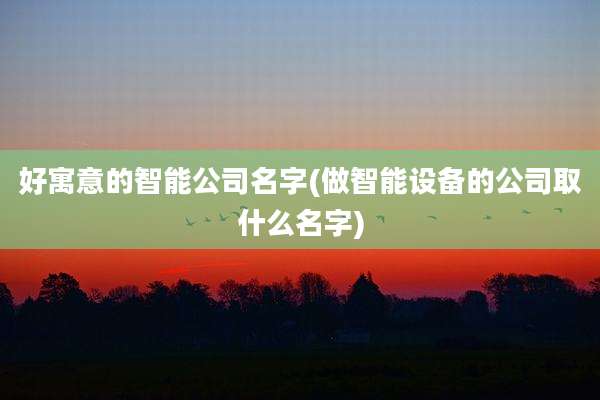 好寓意的智能公司名字(做智能设备的公司取什么名字)