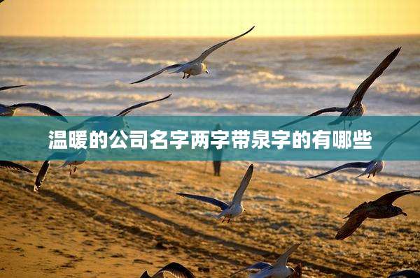 温暖的公司名字两字带泉字的有哪些