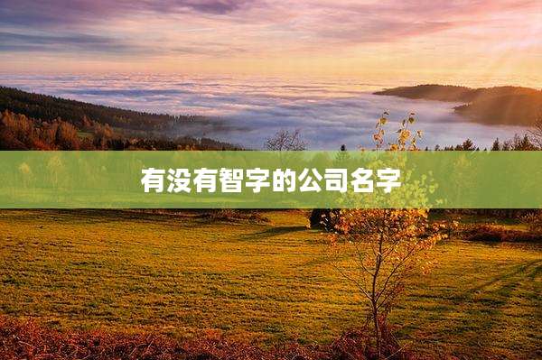 有没有智字的公司名字