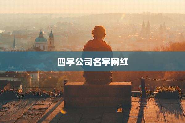 四字公司名字网红