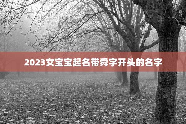 2023女宝宝起名带舜字开头的名字
