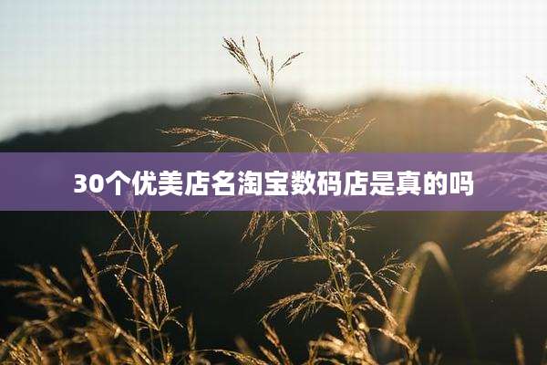 30个优美店名淘宝数码店是真的吗