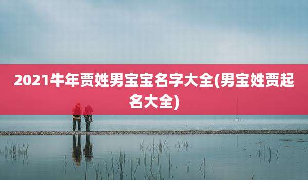 2021牛年贾姓男宝宝名字大全(男宝姓贾起名大全)