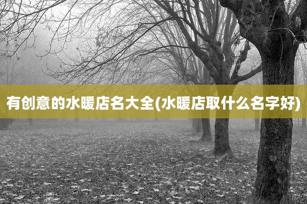 有创意的水暖店名大全(水暖店取什么名字好)