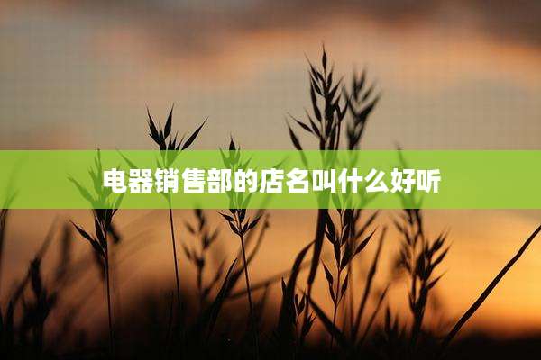 电器销售部的店名叫什么好听