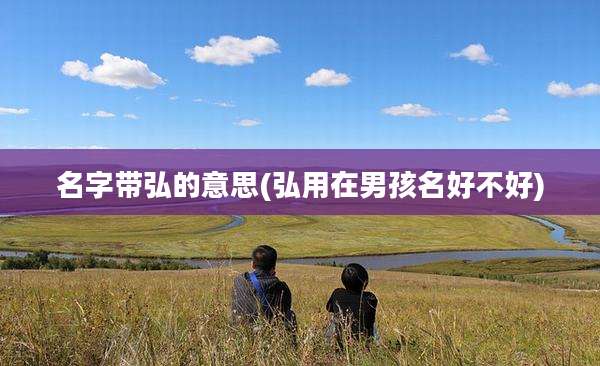 名字带弘的意思(弘用在男孩名好不好)