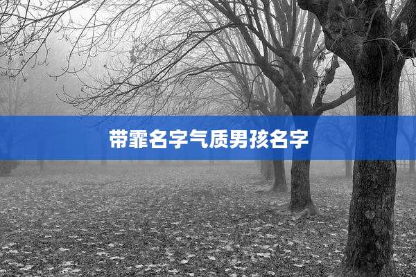 带霏名字气质男孩名字
