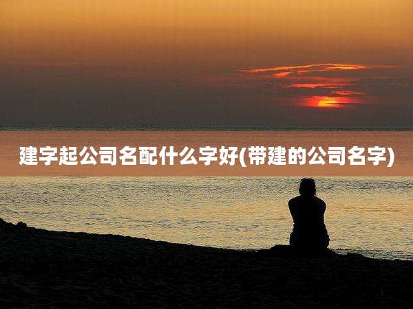 建字起公司名配什么字好(带建的公司名字)