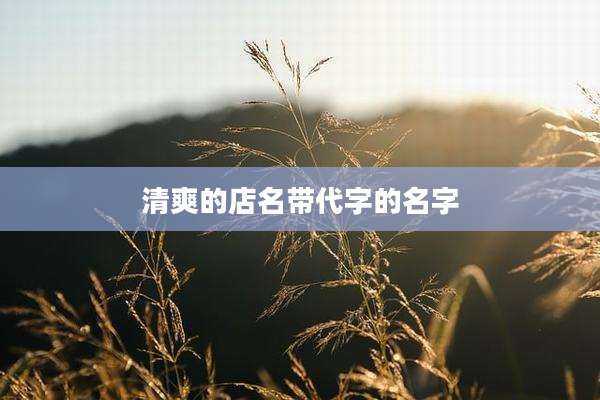 清爽的店名带代字的名字