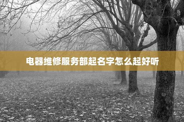 电器维修服务部起名字怎么起好听