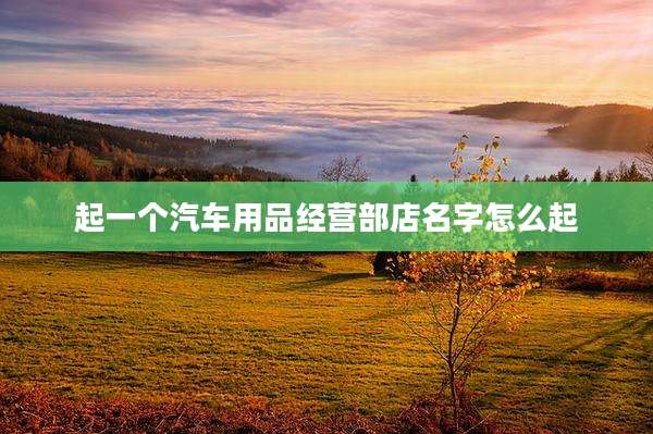 起一个汽车用品经营部店名字怎么起