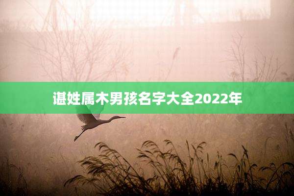 谌姓属木男孩名字大全2022年