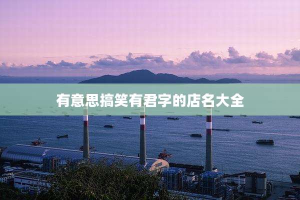 有意思搞笑有君字的店名大全