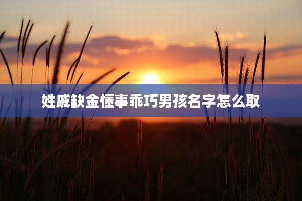 姓戚缺金懂事乖巧男孩名字怎么取
