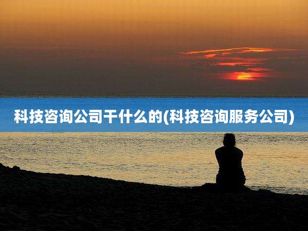 科技咨询公司干什么的(科技咨询服务公司)