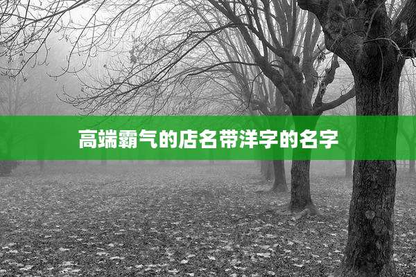 高端霸气的店名带洋字的名字