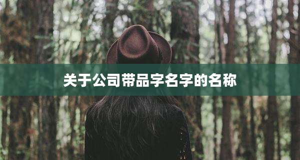 关于公司带品字名字的名称