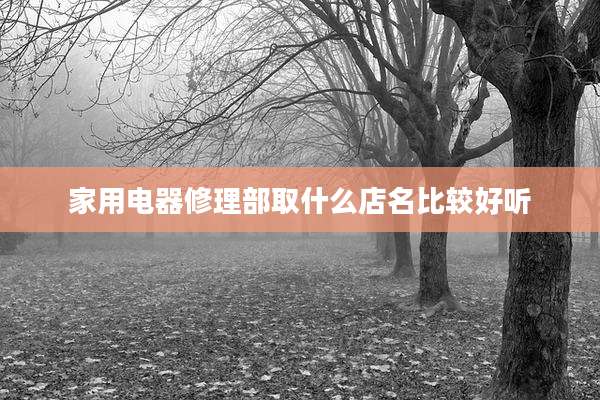 家用电器修理部取什么店名比较好听