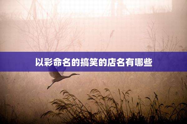 以彩命名的搞笑的店名有哪些