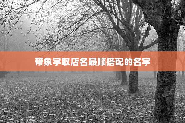 带象字取店名最顺搭配的名字