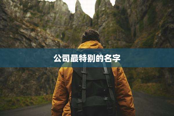 公司最特别的名字