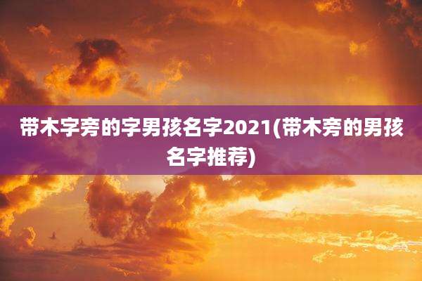带木字旁的字男孩名字2021(带木旁的男孩名字推荐)