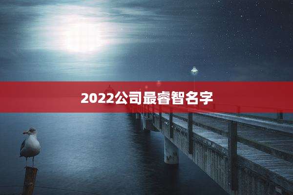 2022公司最睿智名字