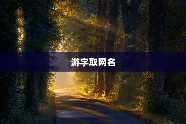 游字取网名