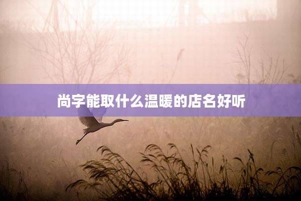 尚字能取什么温暖的店名好听