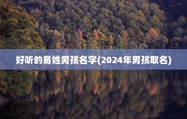 好听的易姓男孩名字(2024年男孩取名)