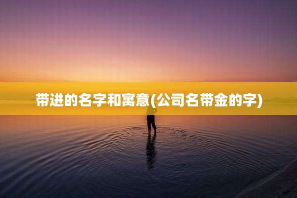 带进的名字和寓意(公司名带金的字)