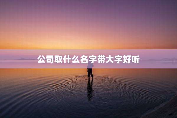 公司取什么名字带大字好听