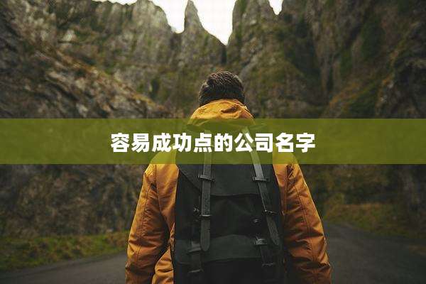 容易成功点的公司名字