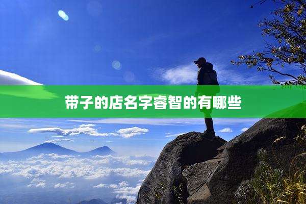 带子的店名字睿智的有哪些