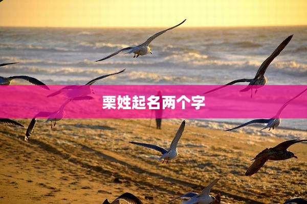 栗姓起名两个字