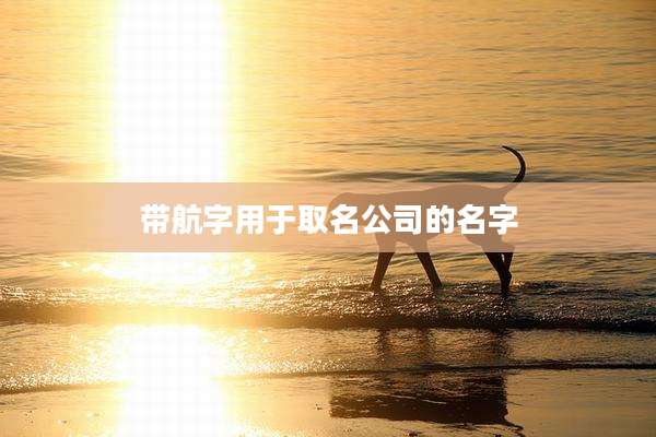 带航字用于取名公司的名字