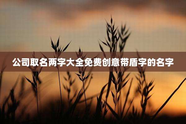 公司取名两字大全免费创意带盾字的名字