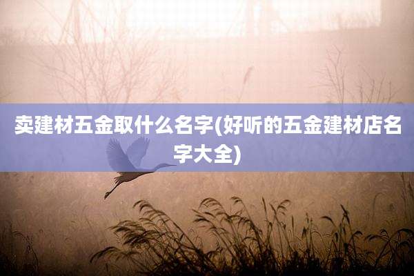 卖建材五金取什么名字(好听的五金建材店名字大全)