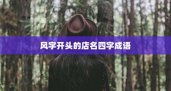 风字开头的店名四字成语