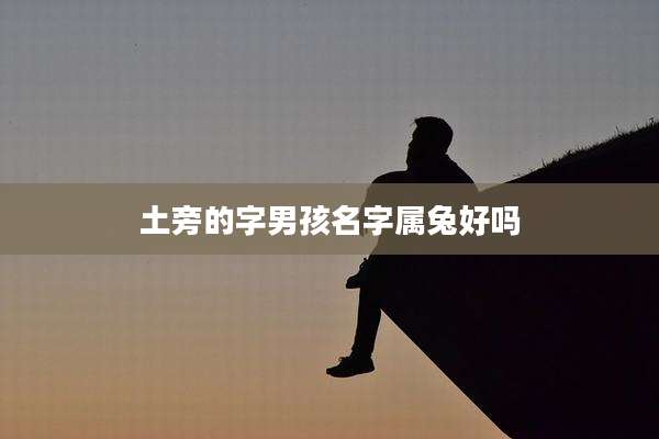土旁的字男孩名字属兔好吗
