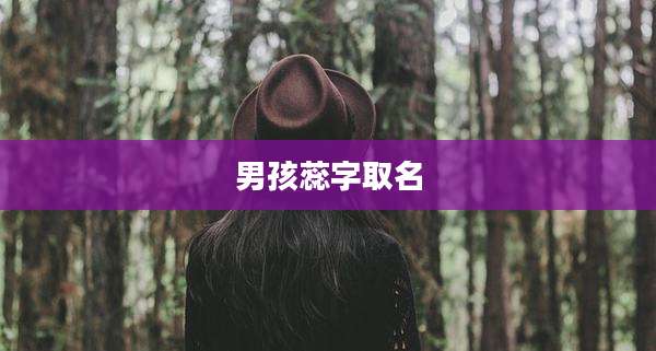 男孩蕊字取名