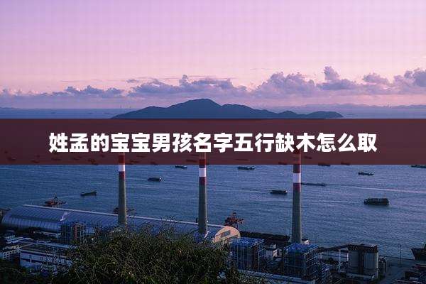 姓孟的宝宝男孩名字五行缺木怎么取
