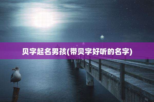 贝字起名男孩(带贝字好听的名字)